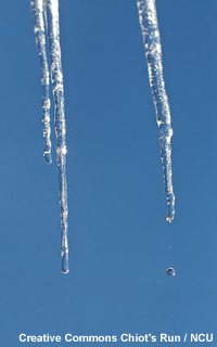 Water drips from an icicle