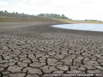 Dried ground leading to a shrinking water source