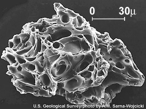Close view of a single ash particle from the eruption of Mount St. Helens; image is from a scanning electron microscope (SEM). The tiny voids or holes are called vesicles and were created by expanding gas bubbles during the eruption of magma. (USGS description)