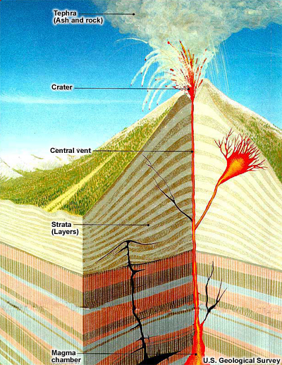 A cross-section of a typical volcano during an eruption. Starting at the magma chamber, magma rises through strata (rock layers) to the surface, following one or more conduits. While most magma rises to the top of the volcano and erupts through the central vent, other magma may follow diverging conduits and erupt on the flanks of the volcano. Some magma may never reach the surface, intruding laterally into the strata instead.