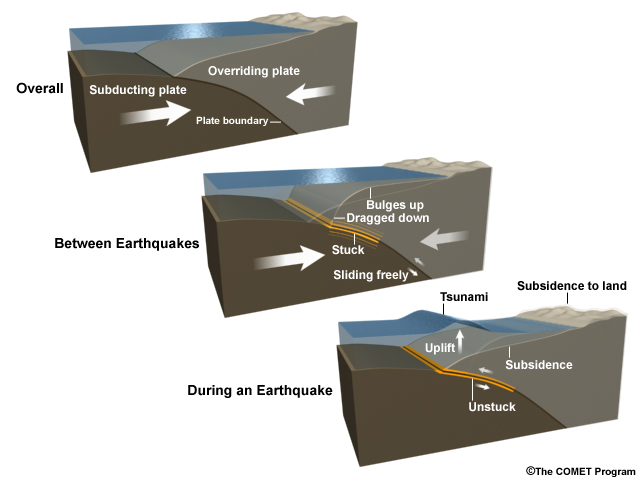 How thrust-fault tsunamis occur.