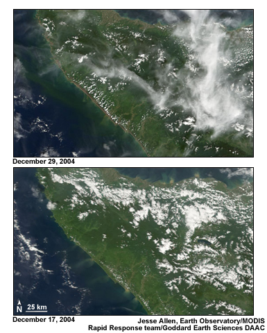 A trimline -- or deforested area -- around the coast of Sumatra created by the 2004 Indian Ocean Tsunami.