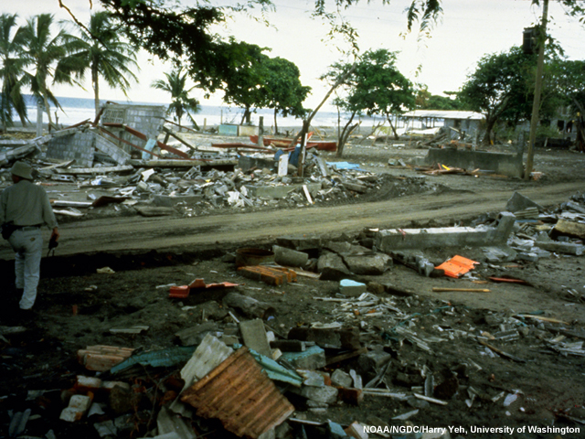 The tsunami damage at El Tranisto, (population 1,000), the area most devastated by the tsunami in Nicaragua. Sixteen people were killed (14 children and two elderly men) and 151 were injured. More than two hundred houses (nearly all the houses in El Tranisto) were destroyed by waves that reached more than nine meters at this site. It is thought that the first wave was relatively small, and that it provided a warning which allowed most of the able-bodied people to escape the force of the second and third very destructive waves.