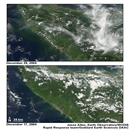 A 
trimline -- or deforested area -- around the coast of Sumatra created by
 the 2004 Indian Ocean Tsunami.