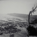Sea
 level recession and tsunami inundation during the 1960 Chilean tsunami.
 The inundating wave is about 8 m high.