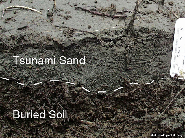 Tsunami deposits of sand over soil in Papua New Guinea after the 1998 tsunami.